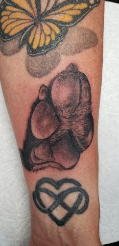 Rabbit 61